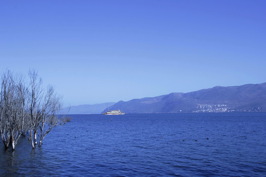 湖水 湖泊 植物 風(fēng)景 樹林