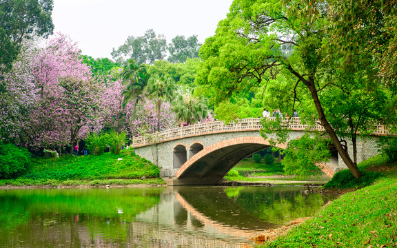 華南植物園風(fēng)景