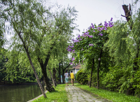 廣東四大名園 東莞可園