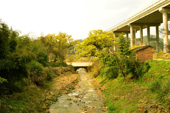 橋與橋