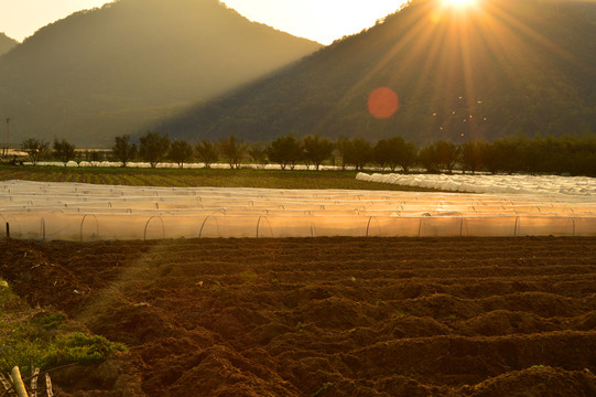 田園風(fēng)景