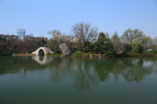 合肥包河公園