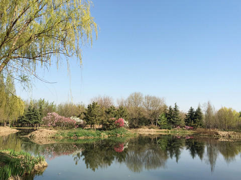 洛陽(yáng)隋唐遺址植物園
