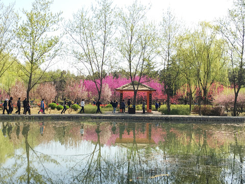 洛陽隋唐遺址植物園