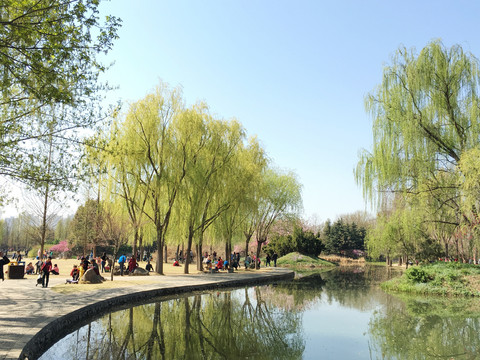 洛陽隋唐遺址植物園