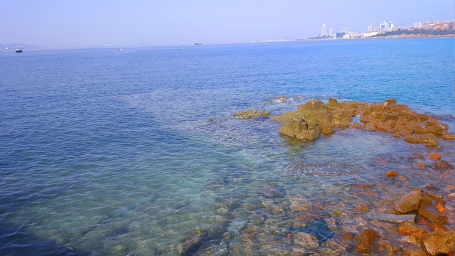 礁石 青島 海邊