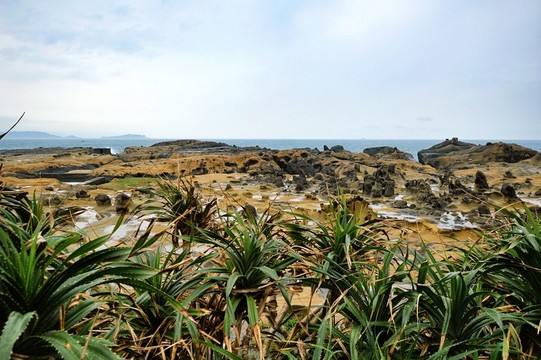 臺灣基隆和平島公園