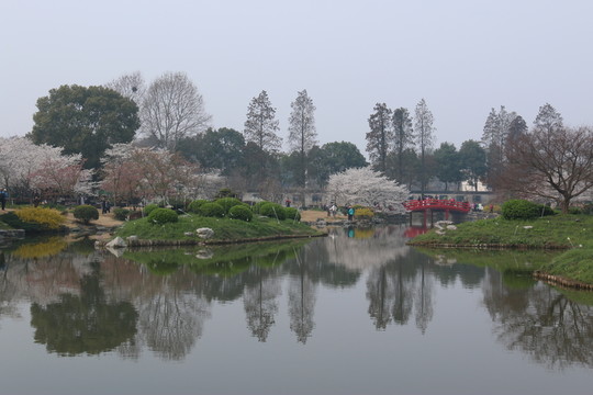 櫻花園風(fēng)景