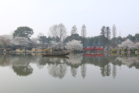 櫻花園風(fēng)景