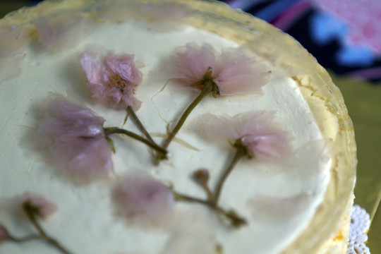 櫻花果凍蛋糕