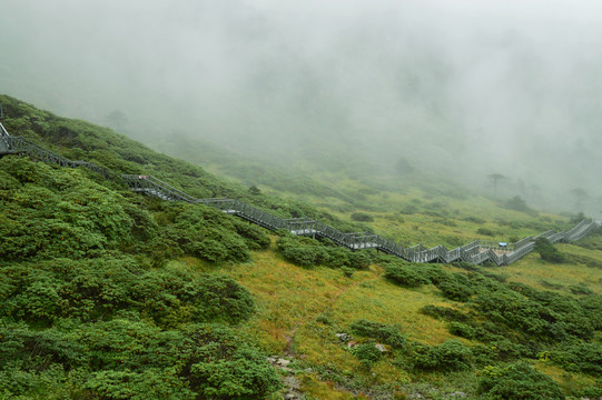 蒼山