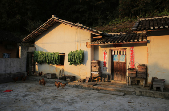 農(nóng)家