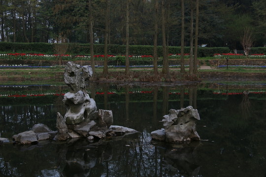 武漢植物園風(fēng)景