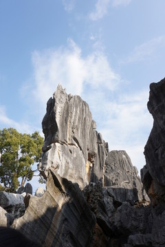 石林