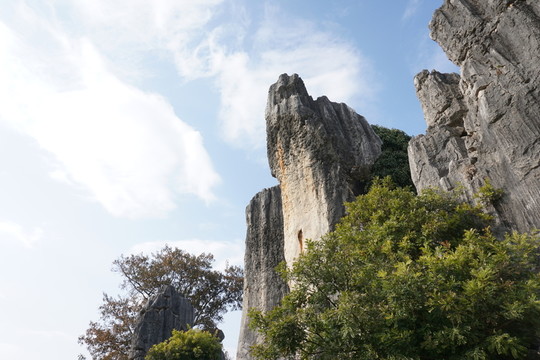 石林