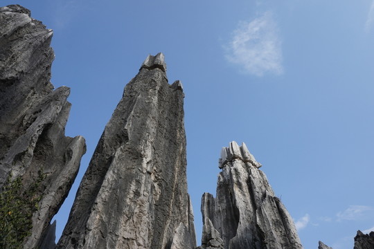 石林