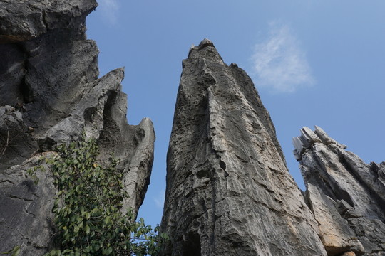 石林
