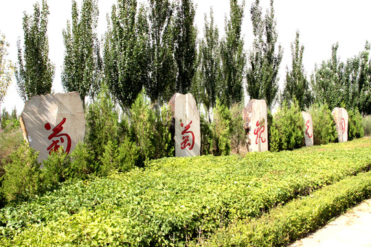 葡萄觀光園