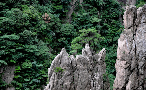 山谷