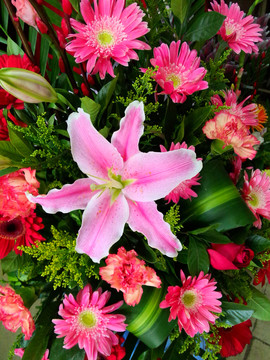 百合花