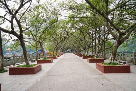 綠蔭路