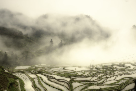 貴州梯田