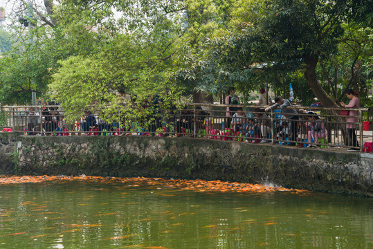 喂魚(yú)