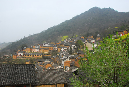 陽產(chǎn)土樓