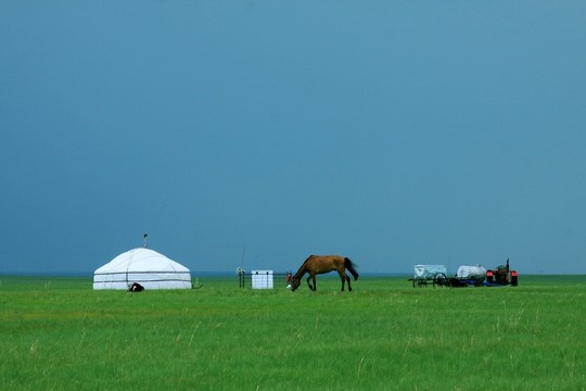 夏季草原蒙古包和馬