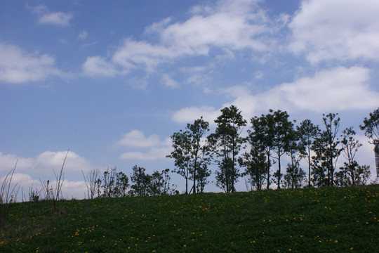 風景