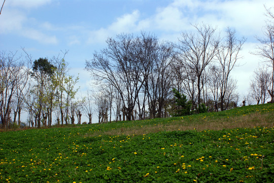 風景