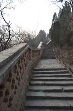 臺(tái)階