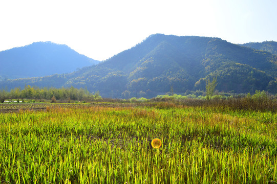 大山草場(chǎng)