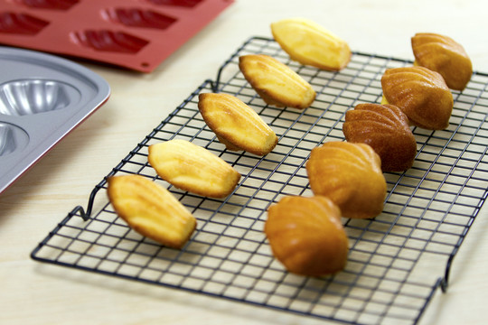 瑪?shù)铝盏案? style=