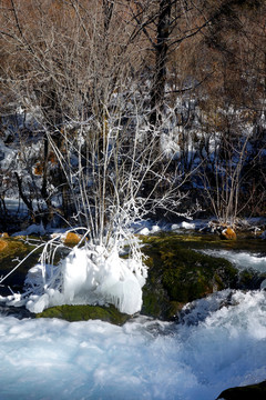 雪景 溪流 原始森林 枯樹(shù)