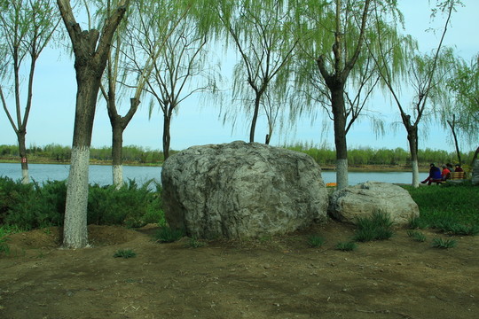 石頭樹木