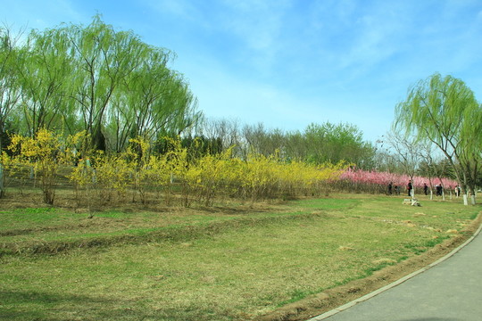 春天公園