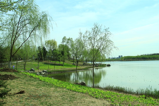 濕地公園