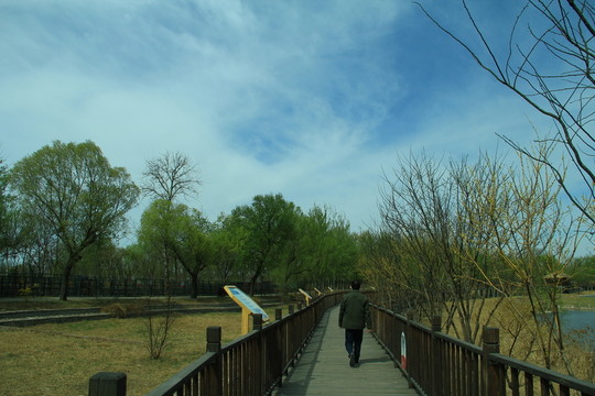 木橋