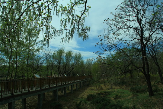 公園