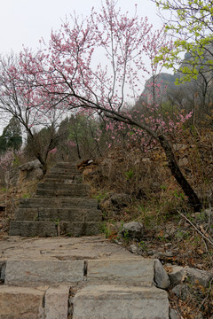 山路