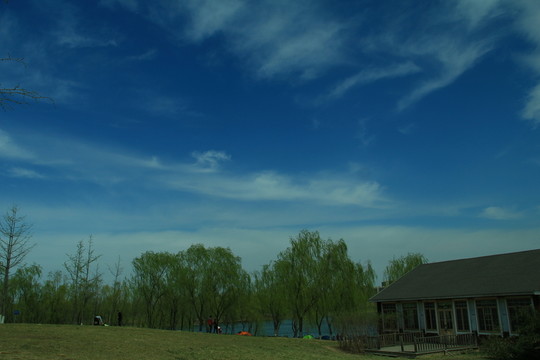 早春公園