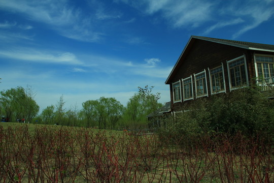 早春公園