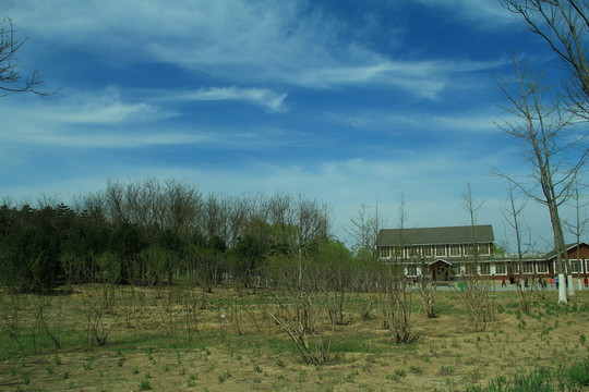 春初田野