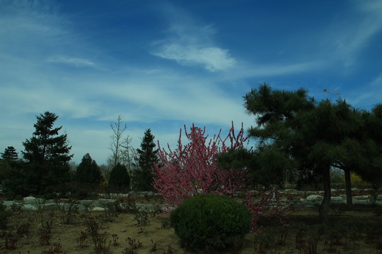 春初田野