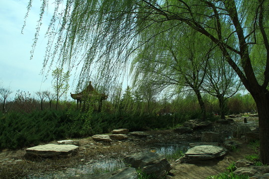 河流干涸