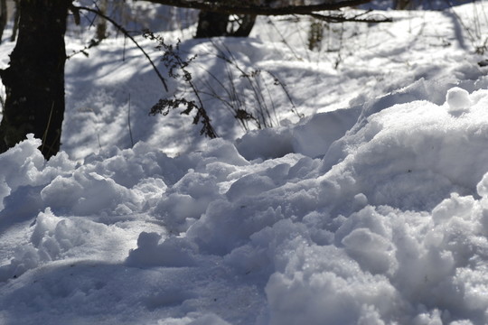 雪地