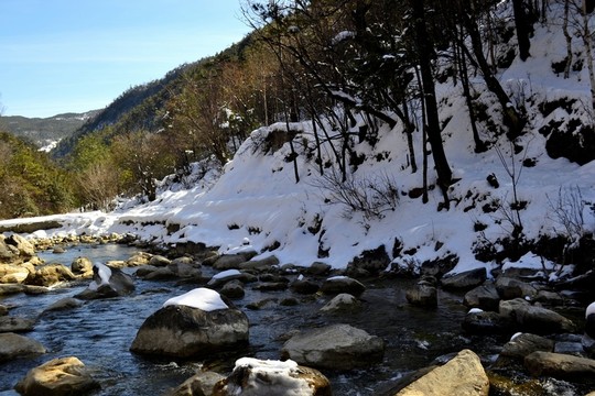 雪地