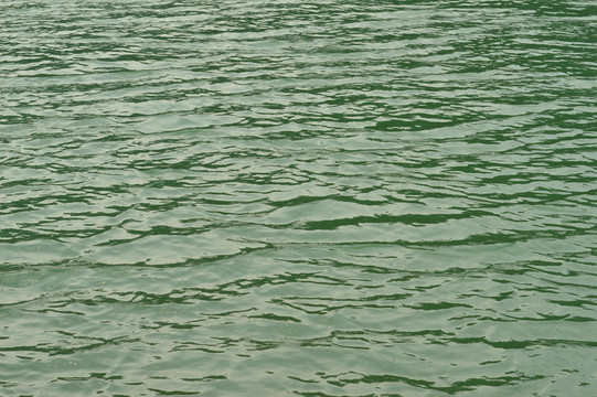 水波紋