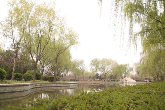 隋唐植物園